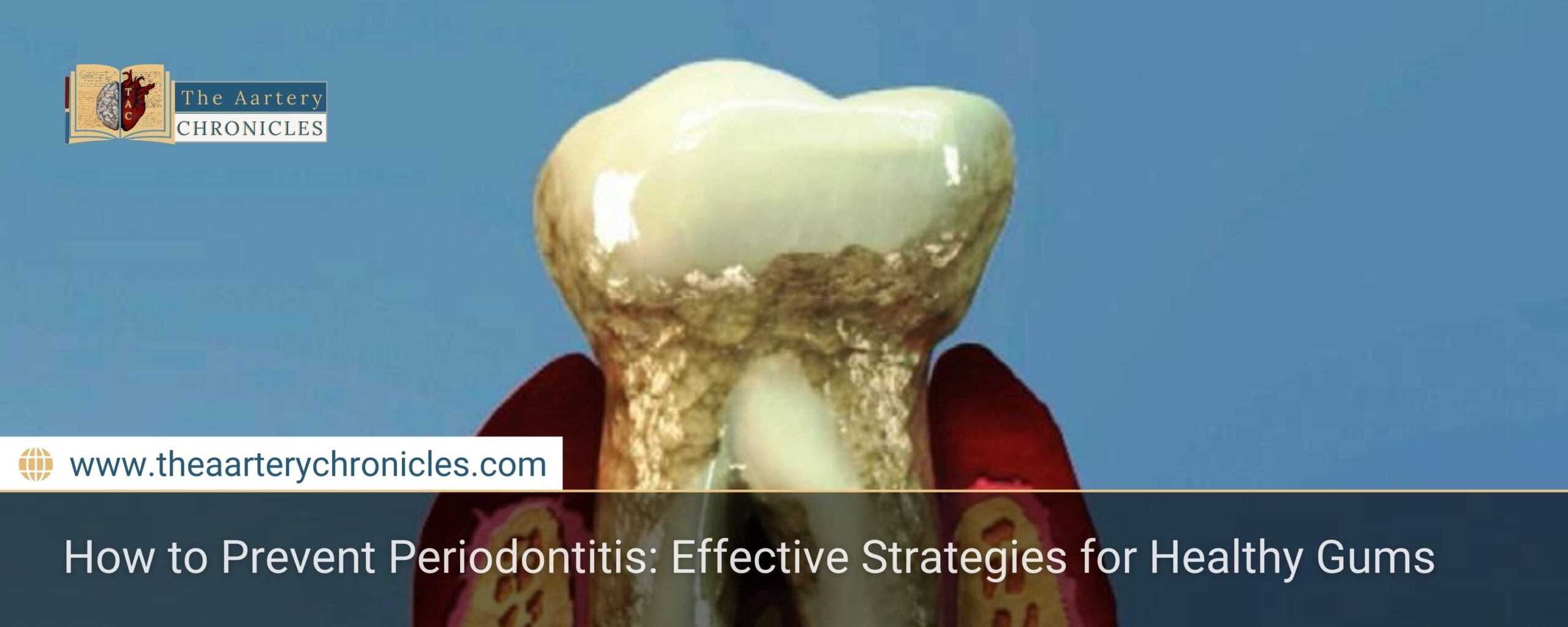 How-to-Prevent-Periodontitis:-Effective-Strategies-for-Healthy-Gums-The-Aartery-Chronicles-TAC