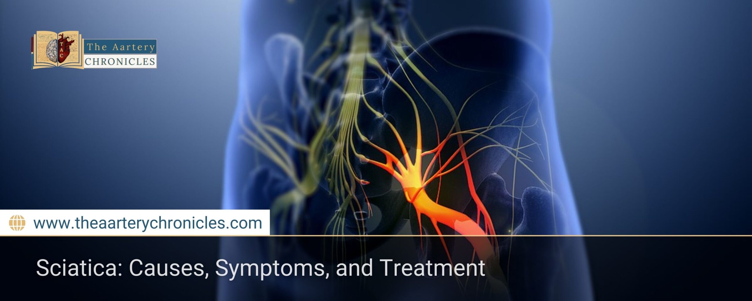 All-About-Sciatica:-Causes,-Symptoms,-and-Treatment-The-Aartery-Chronicles-TAC