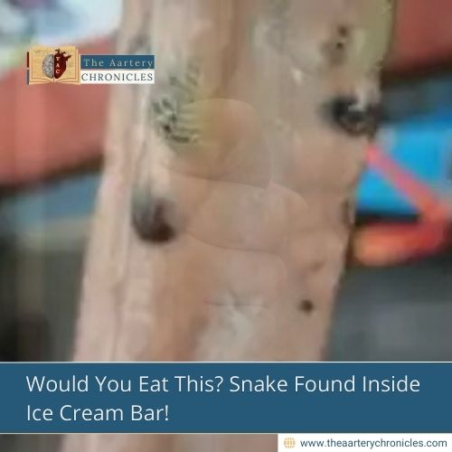 Would You Eat This? Snake Found Inside Ice Cream Bar!