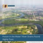 Poison in the Water? River Drains Found Highly Toxic