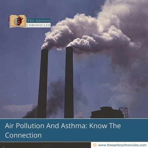 Air-Pollution-And-Asthma:-Know-The-Connection-The-Aartery-Chronicles-TAC