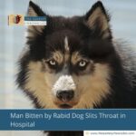Man Bitten by Rabid Dog Slits Throat in Hospital