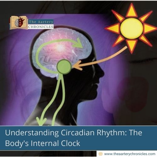 Understanding-Circadian-Rhythm:-The-Body's-Internal-Clock-The-Aartery-Chronicles-TAC