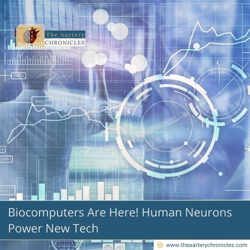 Biocomputers Are Here! Human Neurons Power New Tech