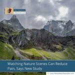 Watching Nature Scenes Can Reduce Pain, Says New Study