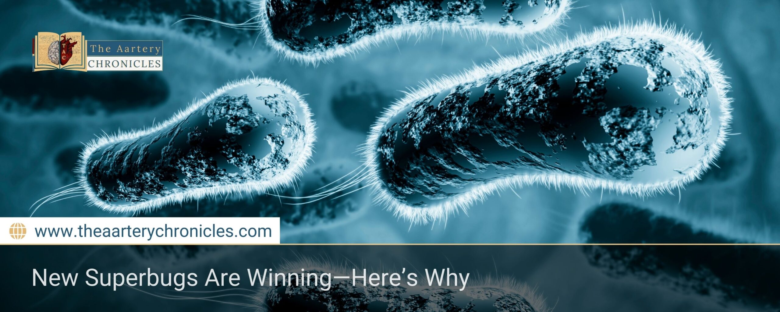 New Superbugs Are Winning—Here’s Why