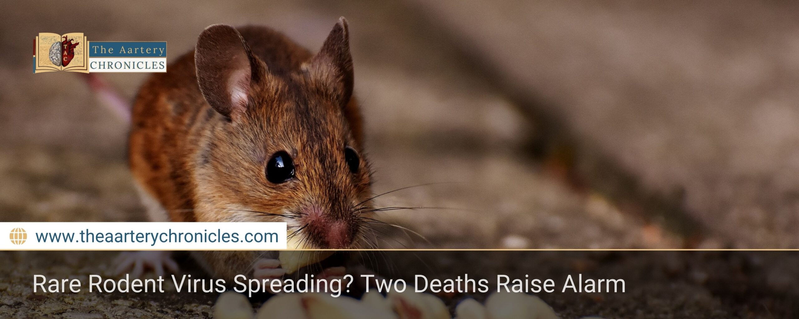 Rare Rodent Virus Spreading? Two Deaths Raise Alarm
