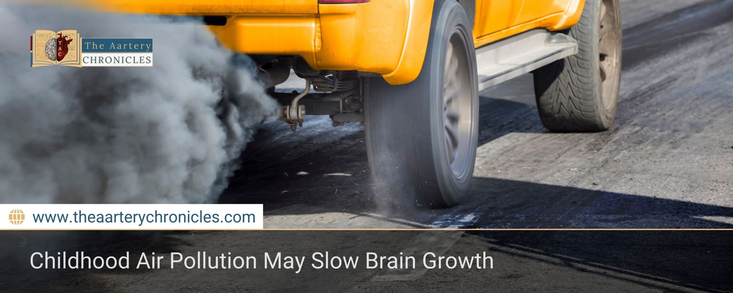 Childhood Air Pollution May Slow Brain Growth