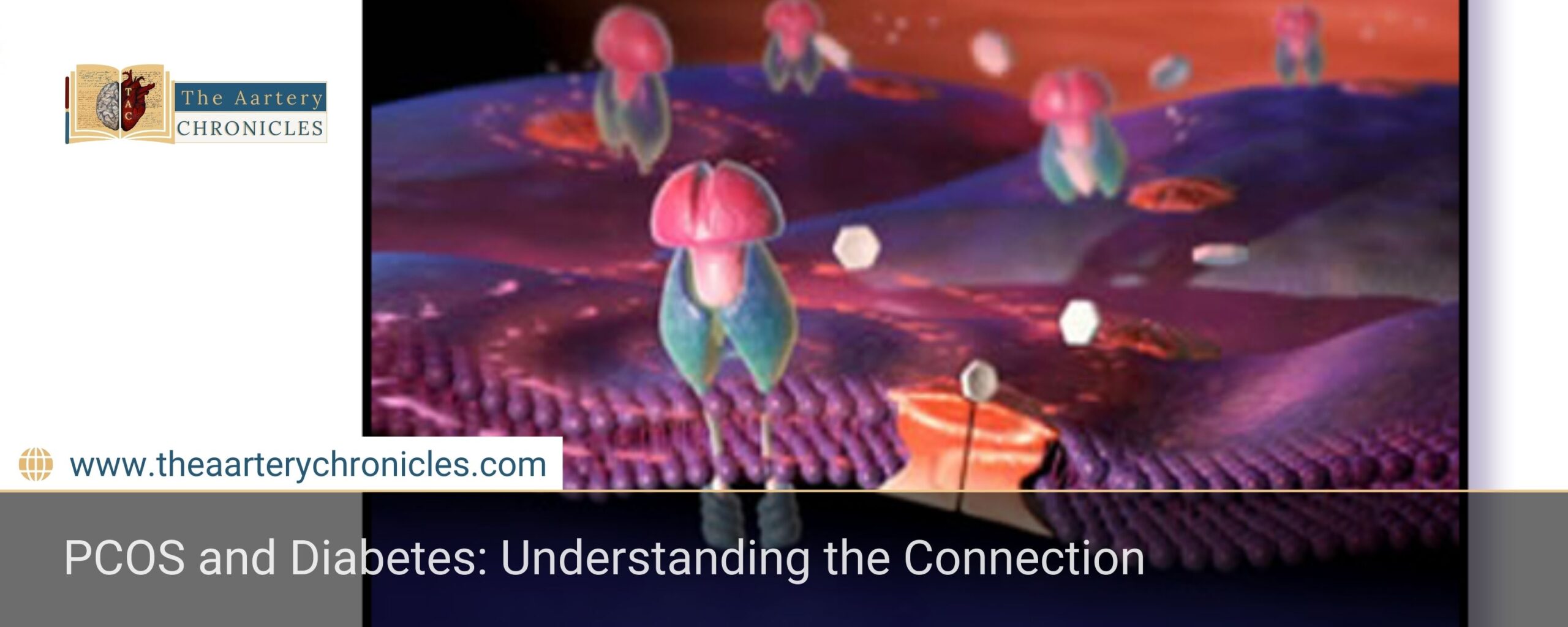 PCOS-and-Diabetes:-Understanding-the-Connection-The-Aartery-Chronicles-TAC
