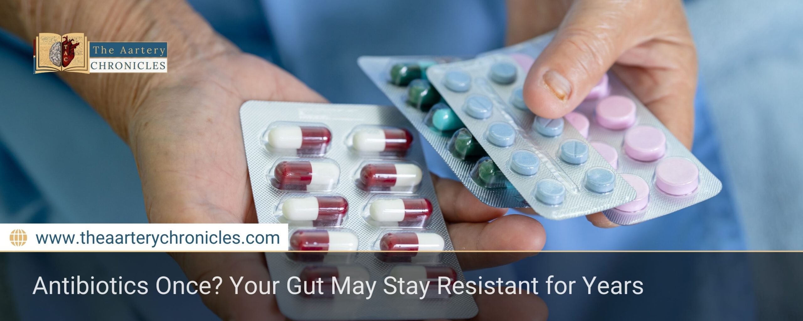 Antibiotics Once? Your Gut May Stay Resistant for Years
