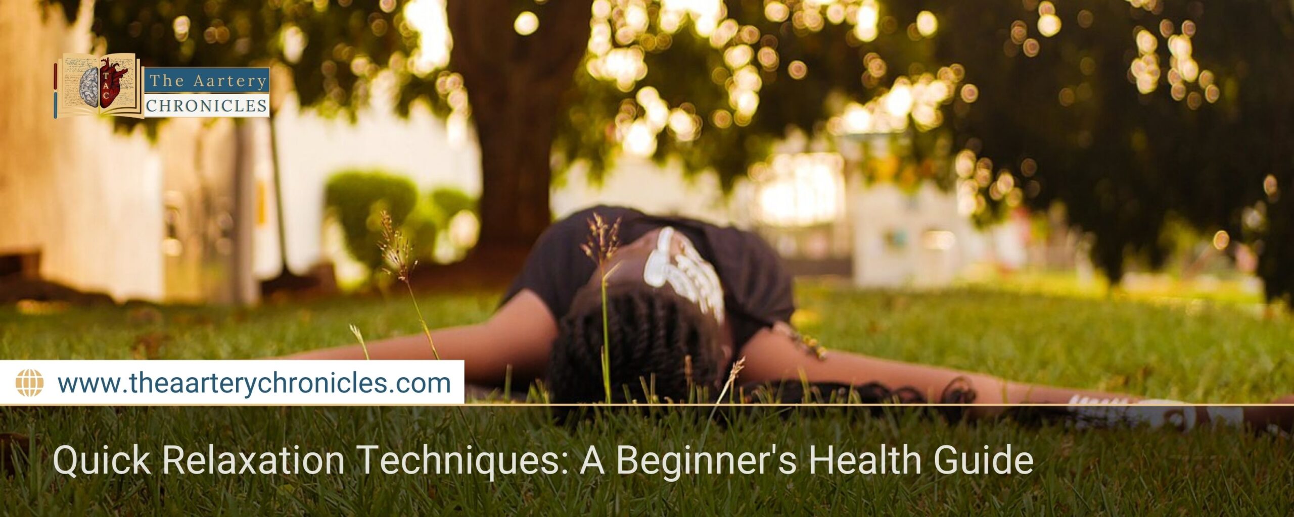 Quick-Relaxation-Techniques:-A-Beginner's-Health-Guide-The-Aartery-Chronicles-TAC