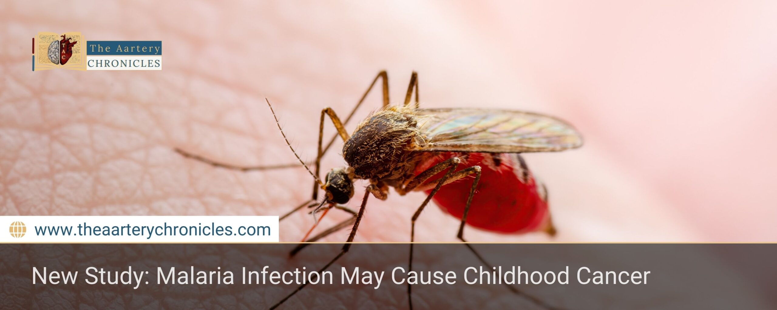 New Study: Malaria Infection May Cause Childhood Cancer
