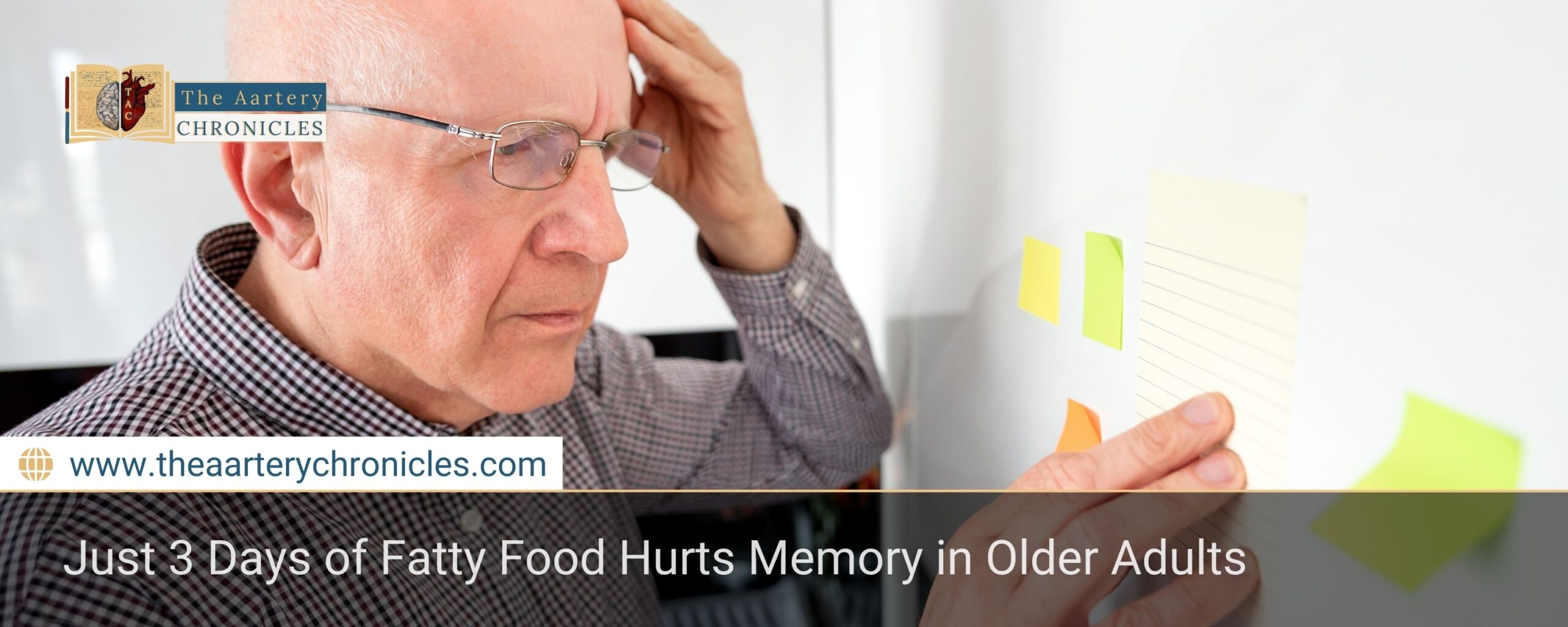 just-3-days-of-fatty-food-hurts-memory-in-older-adults-the-aartery-chronicles-tac
