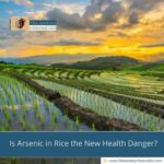 Is Arsenic in Rice the New Health Danger?