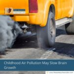 Childhood Air Pollution May Slow Brain Growth