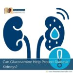 can-glucosamine-help-protect-diabetic-kidneys-the-aartery-chronicles-tac