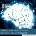 can-psychedelics-help-reset-fear-responses-new-study-says-yes-the-aartery-chronicles-tac