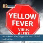 yellow-fever-may-trigger-the-next-global-health-crisis-the-aartery-chronicles-tac
