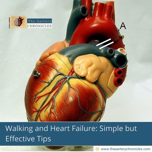 Walking-and-Heart-Failure:-Simple-but-Effective-Tips-The-Aartery-Chronicles-TAC
