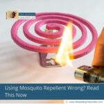 Using Mosquito Repellent Wrong? Read This Now