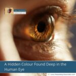 A Hidden Colour Found Deep in the Human Eye