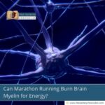 can-marathon-running-burn-brain-myelin-for-energy-the-aartery-chronicles-tac