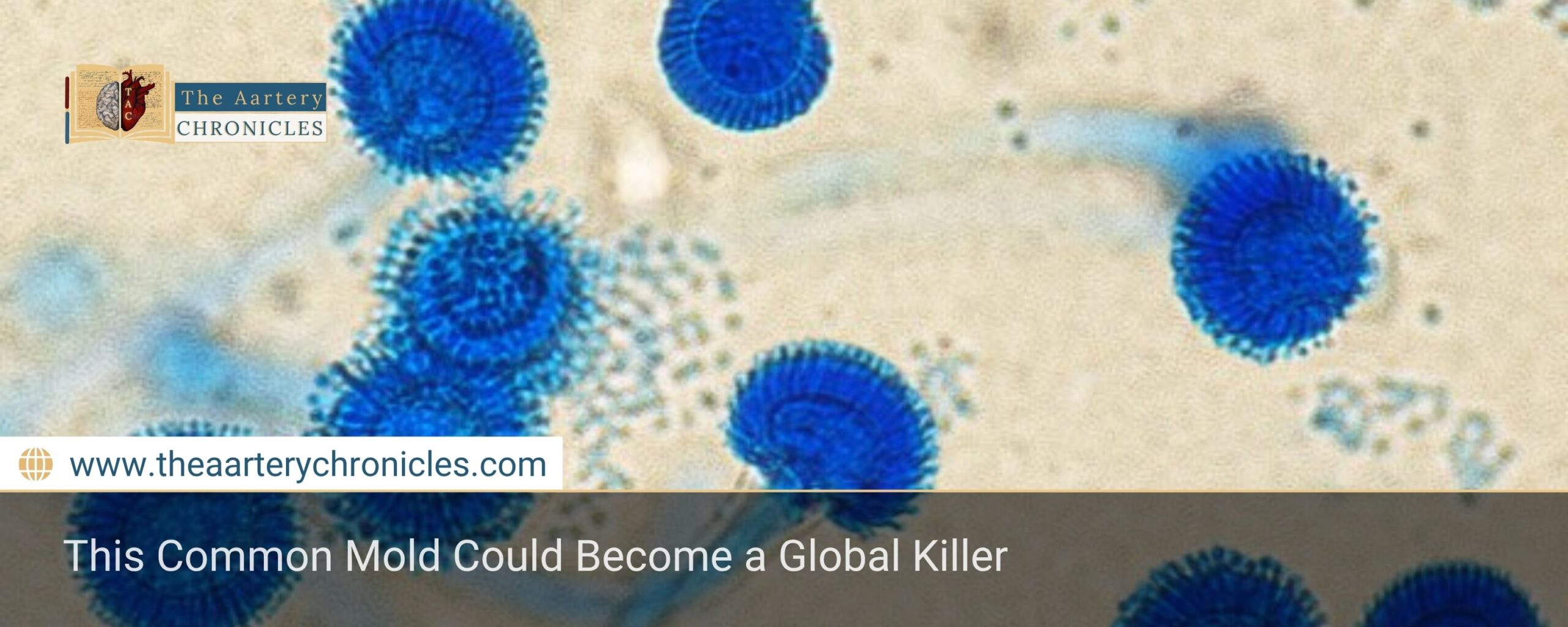 This Common Mold Could Become a Global Killer