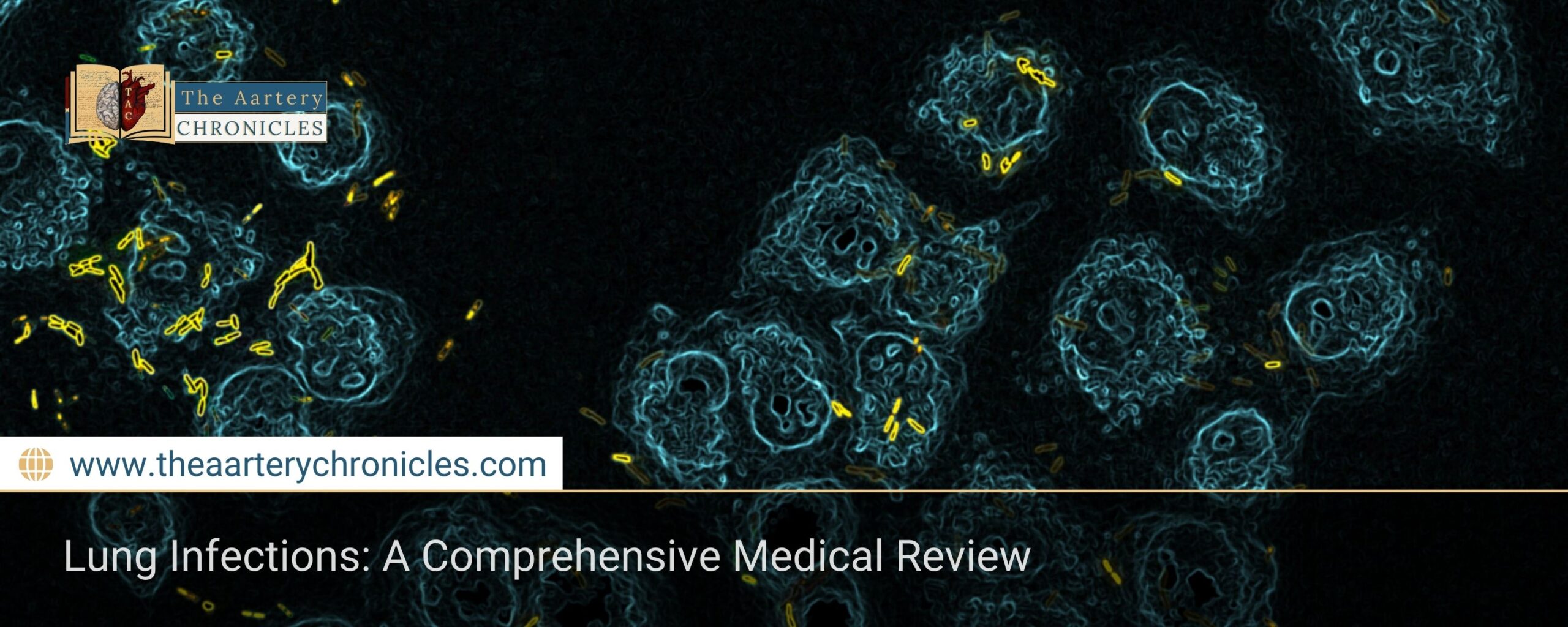 Lung-Infections:-A-Comprehensive-Medical-Review-The-Aartery-Chronicles-TAC