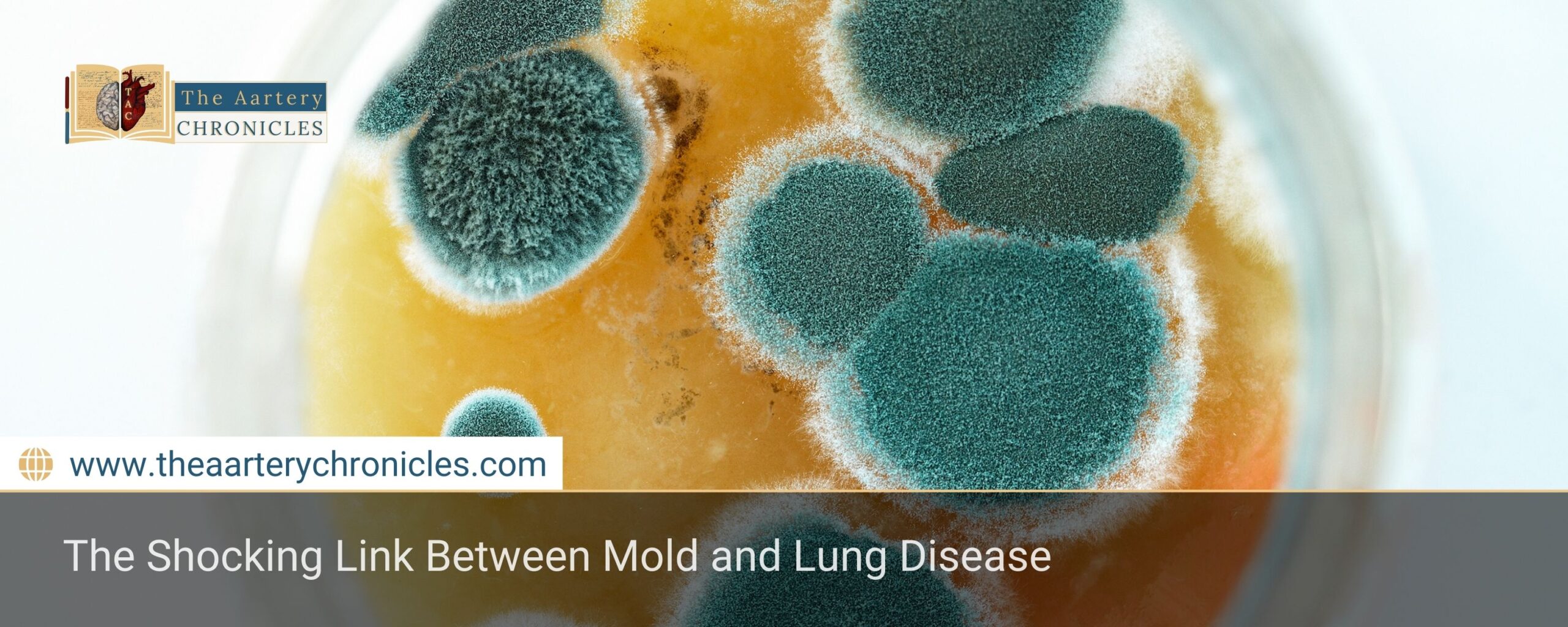 The Shocking Link Between Mold and Lung Disease