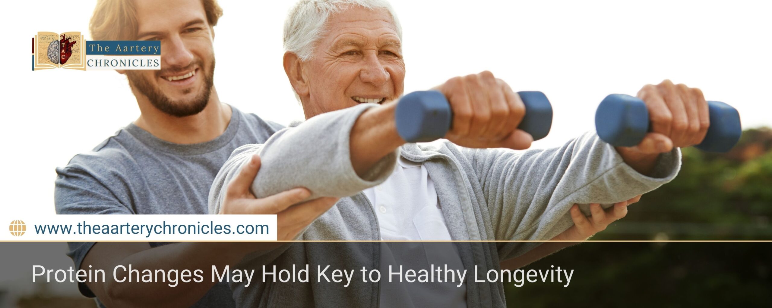scientists-unlock-natures-protein-secret-to-long-life-the-aartery-chronicles-tac