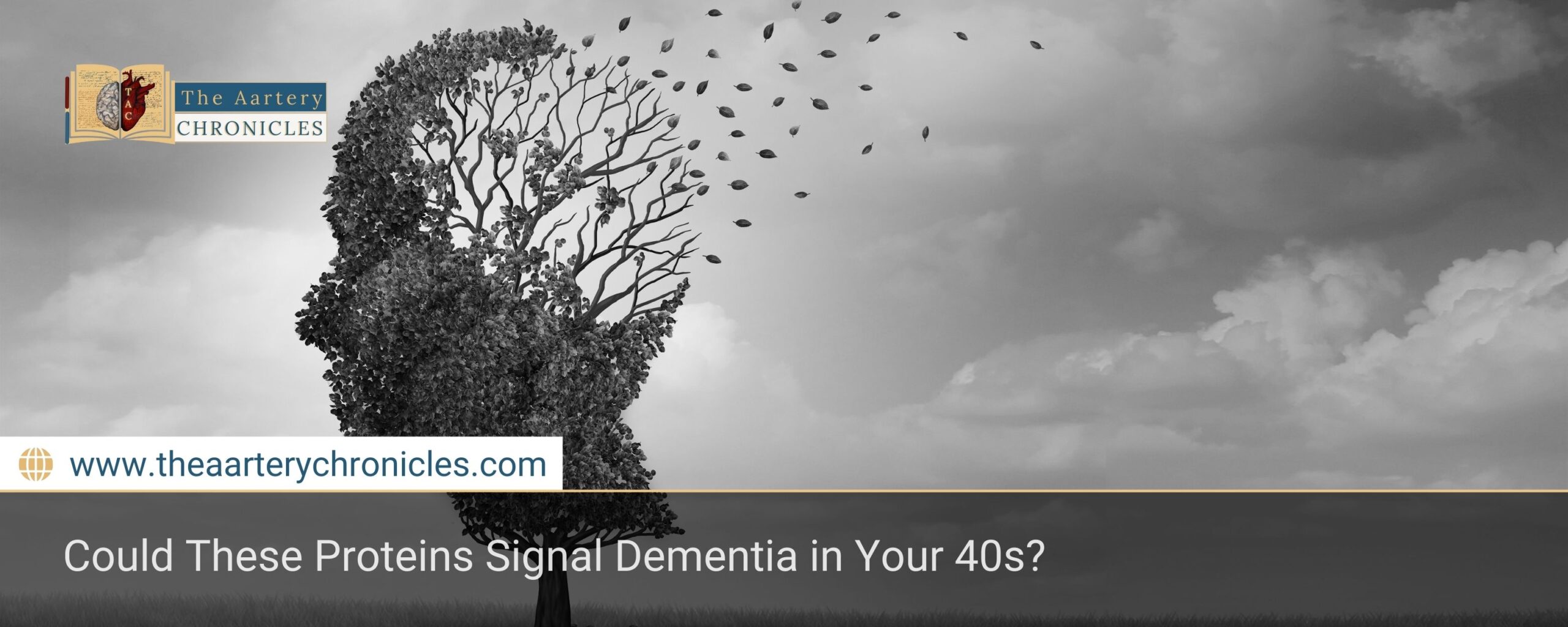 could-these-proteins-signal-dementia-in-your-40s-the-aartery-chronicles-tac