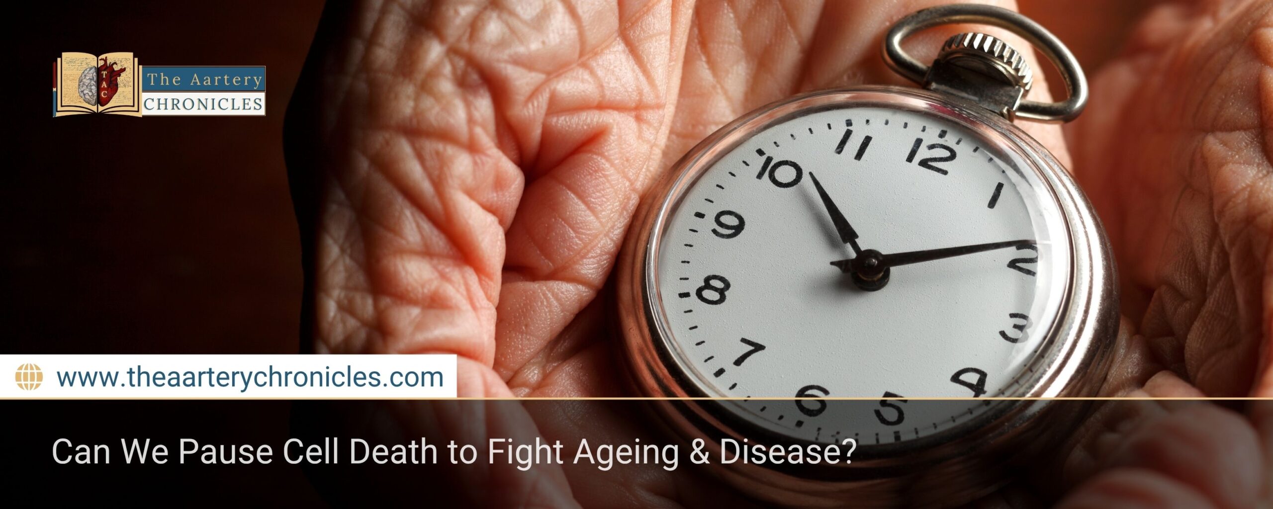 can-we-pause-cell-death-to-fight-aging-amp-disease-the-aartery-chronicles-tac