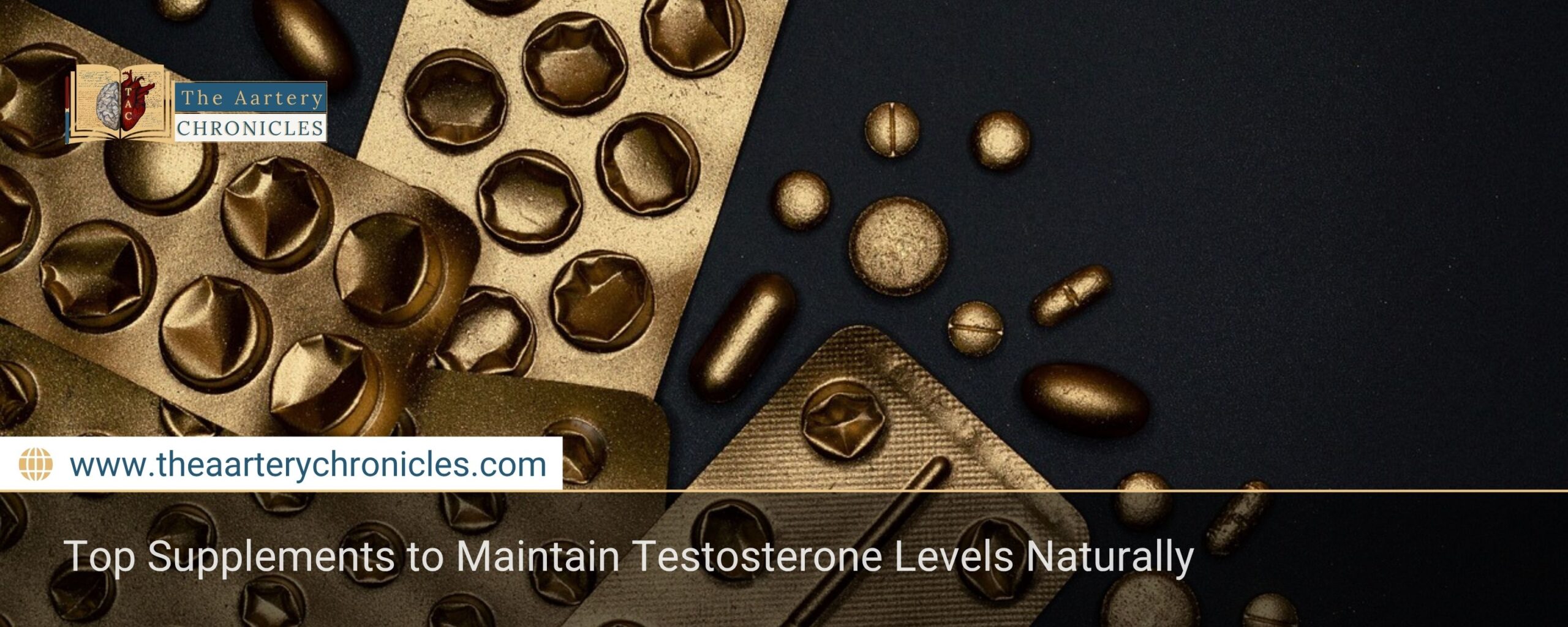 Top-Supplements-to-Maintain-Testosterone-Levels-Naturally-The-Aartery-Chronicles-TAC