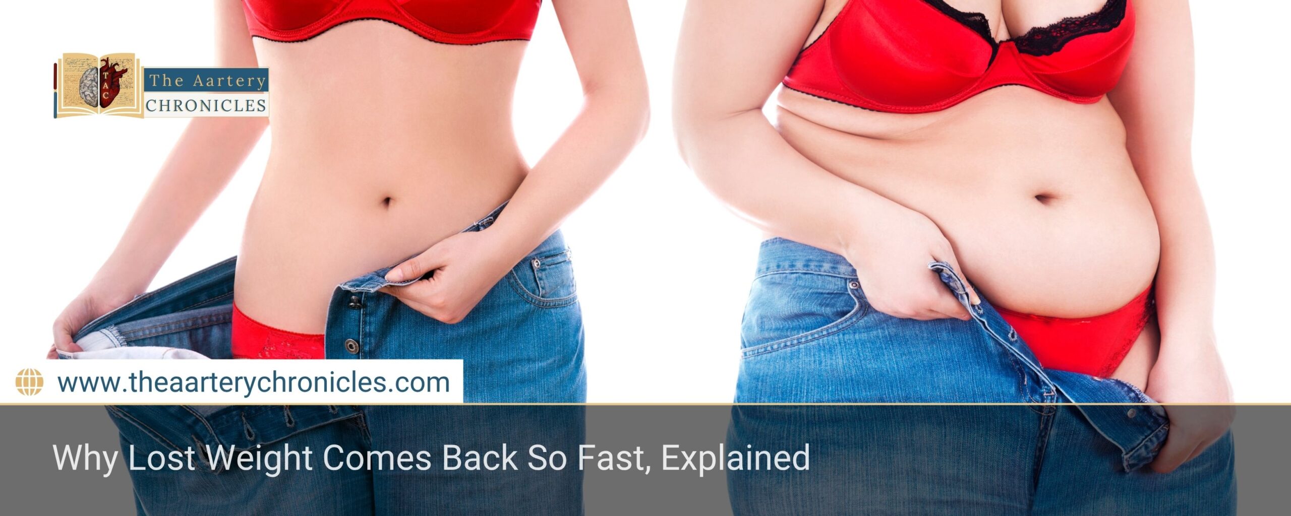 Why Lost Weight Comes Back So Fast, Explained