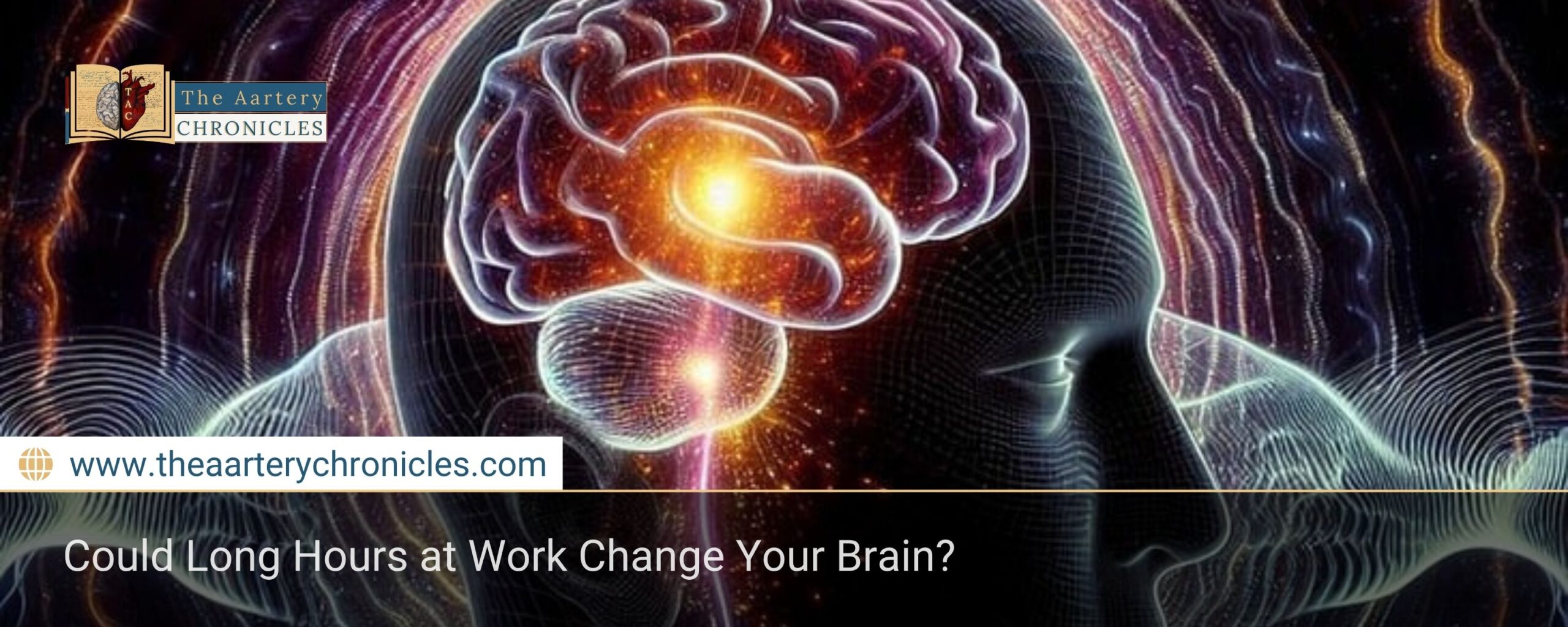 Could Long Hours at Work Change Your Brain?