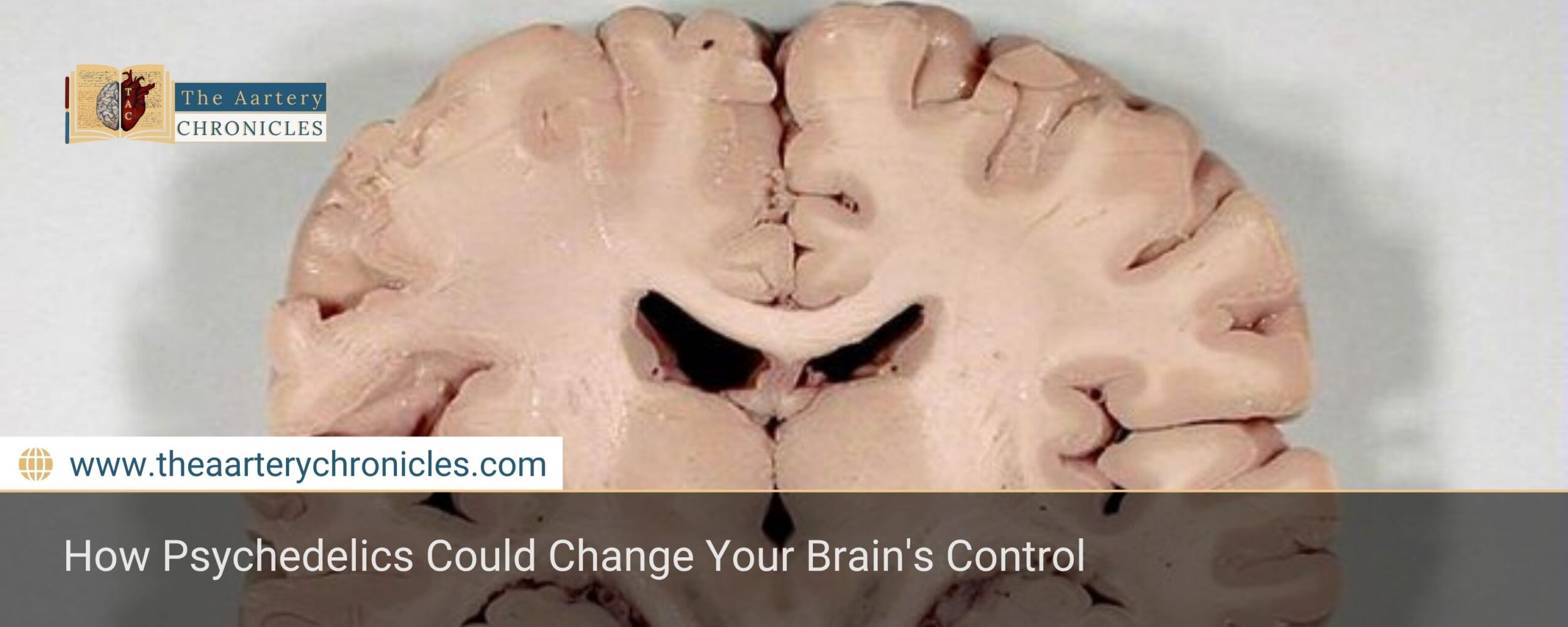 How Psychedelics Could Change Your Brain's Control
