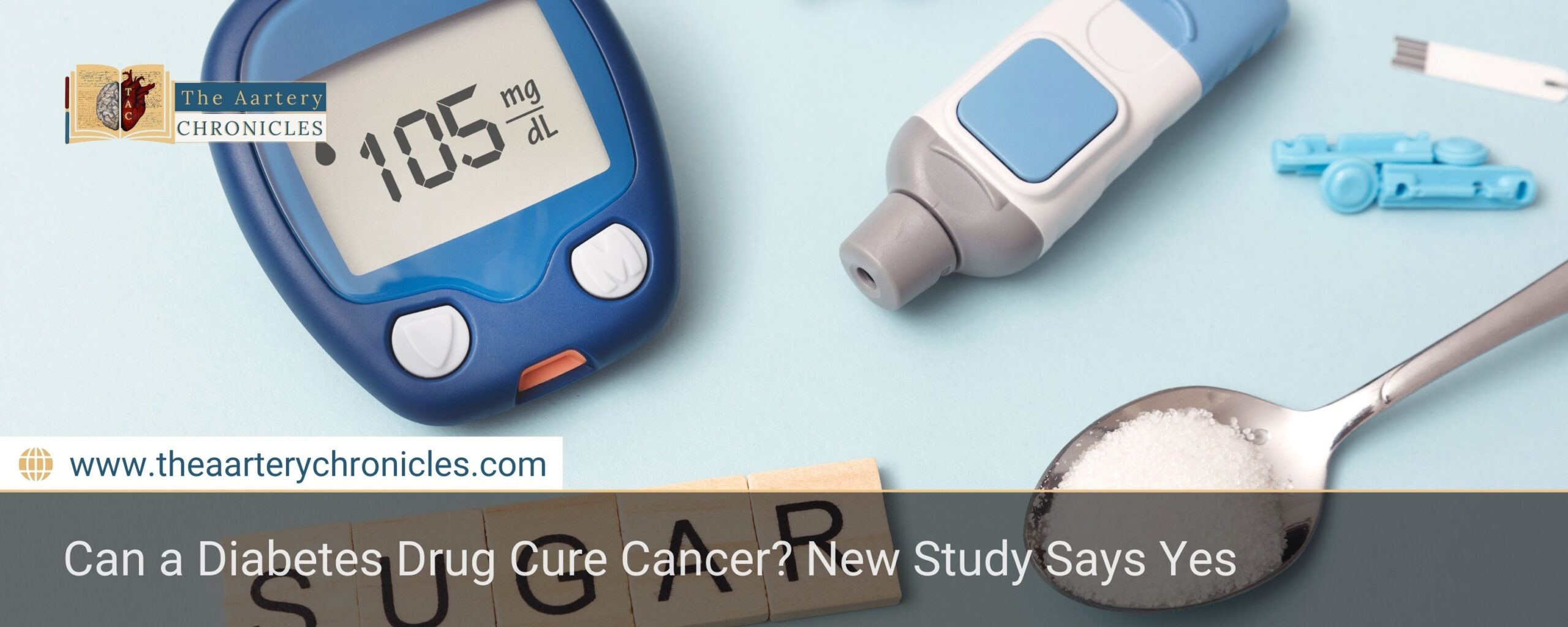 Can a Diabetes Drug Cure Cancer? New Study Says Yes