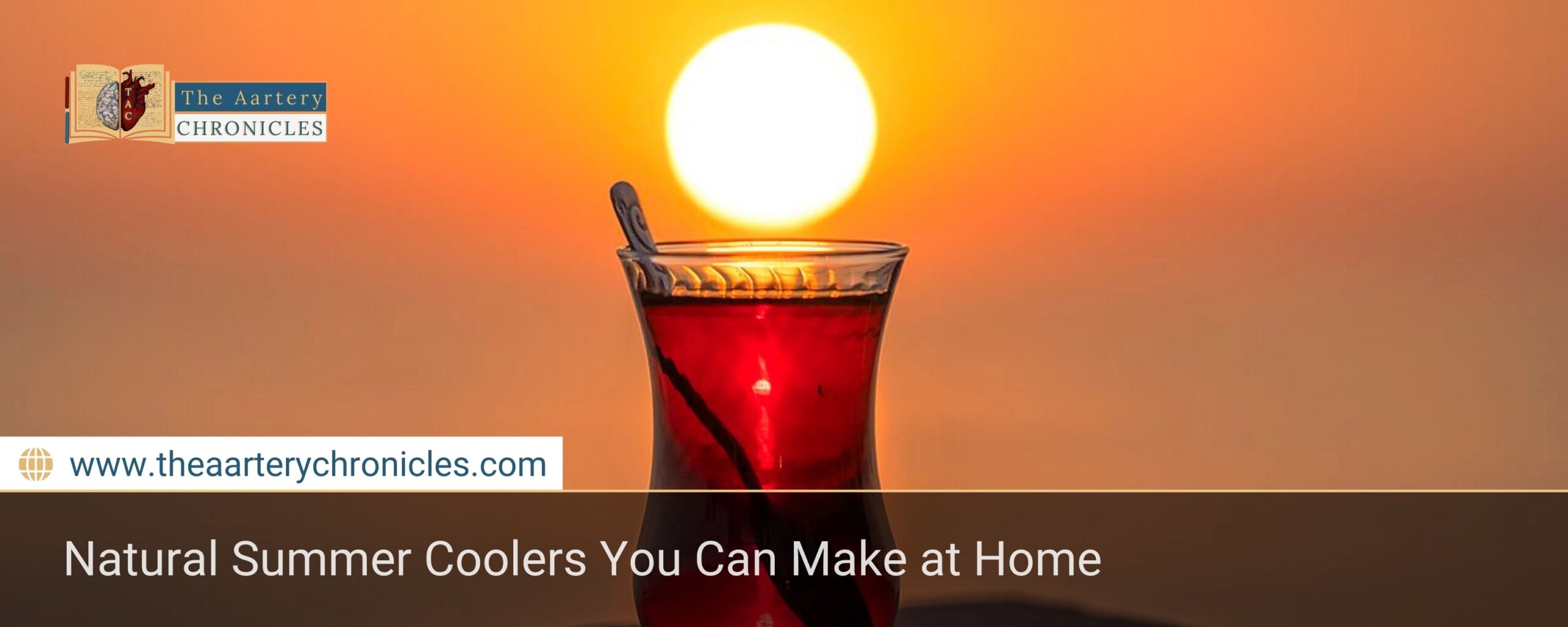 Natural-Summer-Coolers-You-Can-Make-at-Home-The-Aartery-Chronicles-TAC
