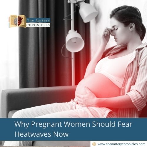 Why Pregnant Women Should Fear Heatwaves Now
