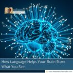 how-language-helps-your-brain-store-what-you-seethe-aartery-chronicles-tac