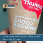 Ahmedabad Woman Falls Ill After Lizard Found in Ice Cream