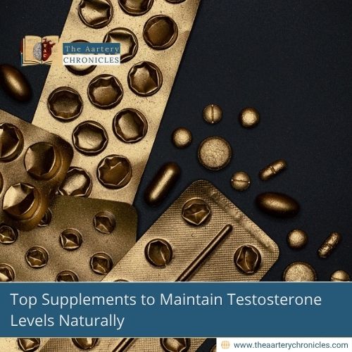 Top-Supplements-to-Maintain-Testosterone-Levels-Naturally-The-Aartery-Chronicles-TAC