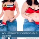 Why Lost Weight Comes Back So Fast, Explained
