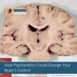 How Psychedelics Could Change Your Brain's Control