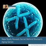 New Study Reveals Secret Behind Women’s Aging Genes