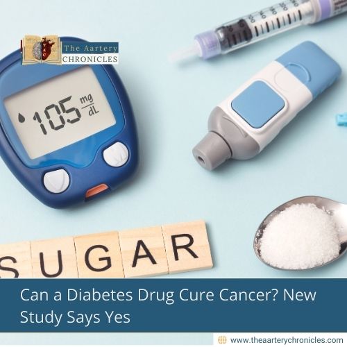 Can a Diabetes Drug Cure Cancer? New Study Says Yes