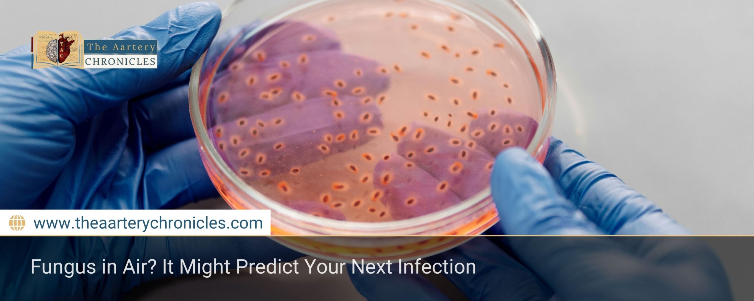Fungus in Air? It Might Predict Your Next Infection