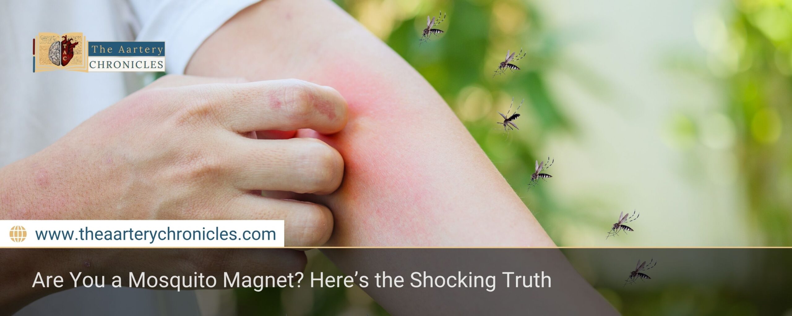 Are You a Mosquito Magnet? Here’s the Shocking Truth