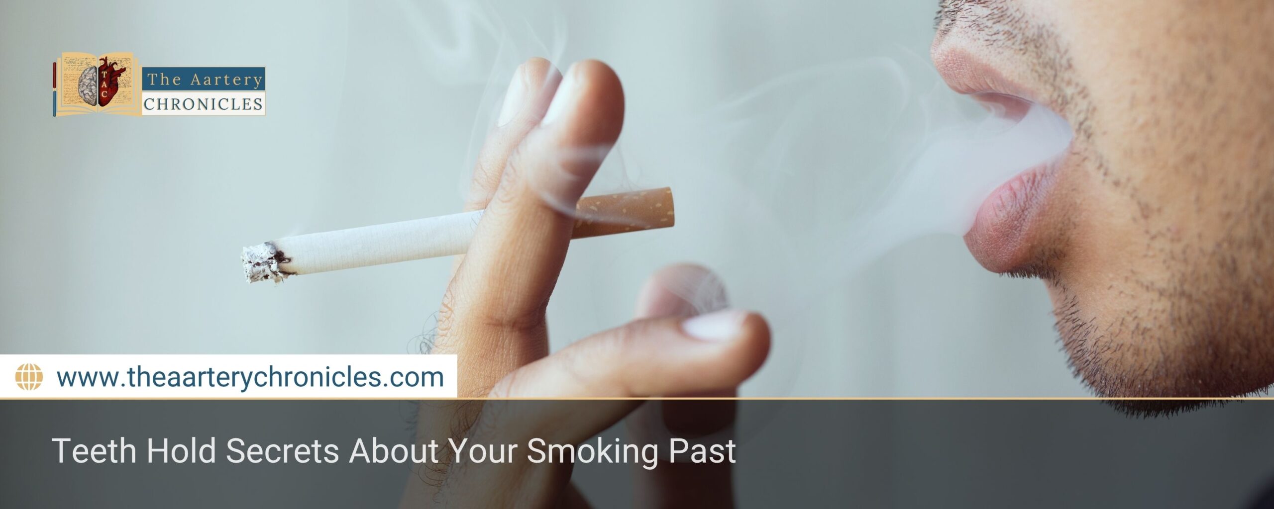 Teeth Hold Secrets About Your Smoking Past