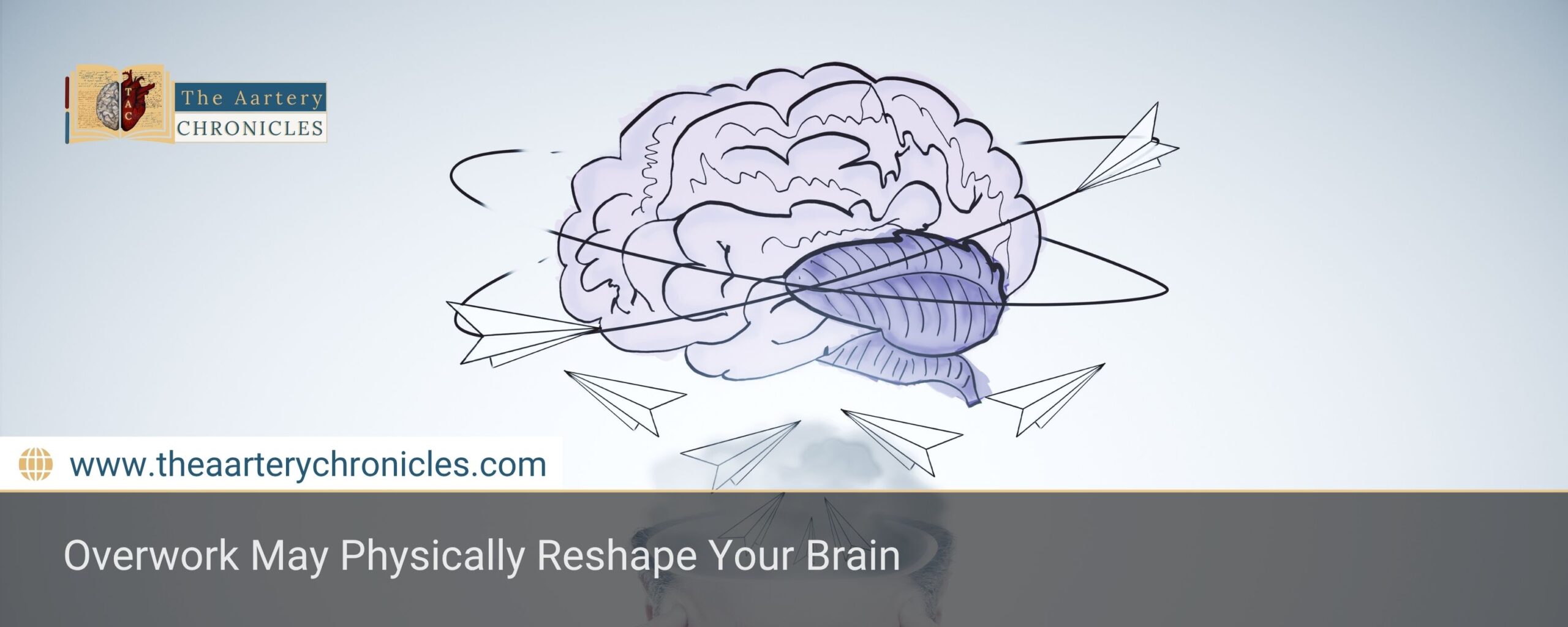 is-your-job-changing-your-brain-scientists-say-yes-the-aartery-chronicles-tac